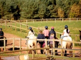 Tn IMG 1478